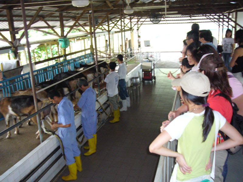 P1000074