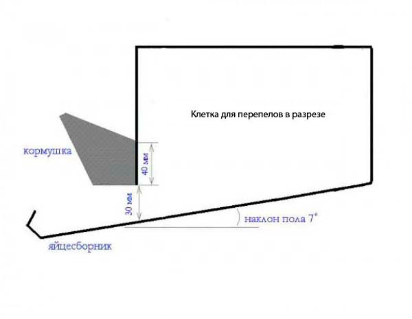 Размер квадрата на фаркопе