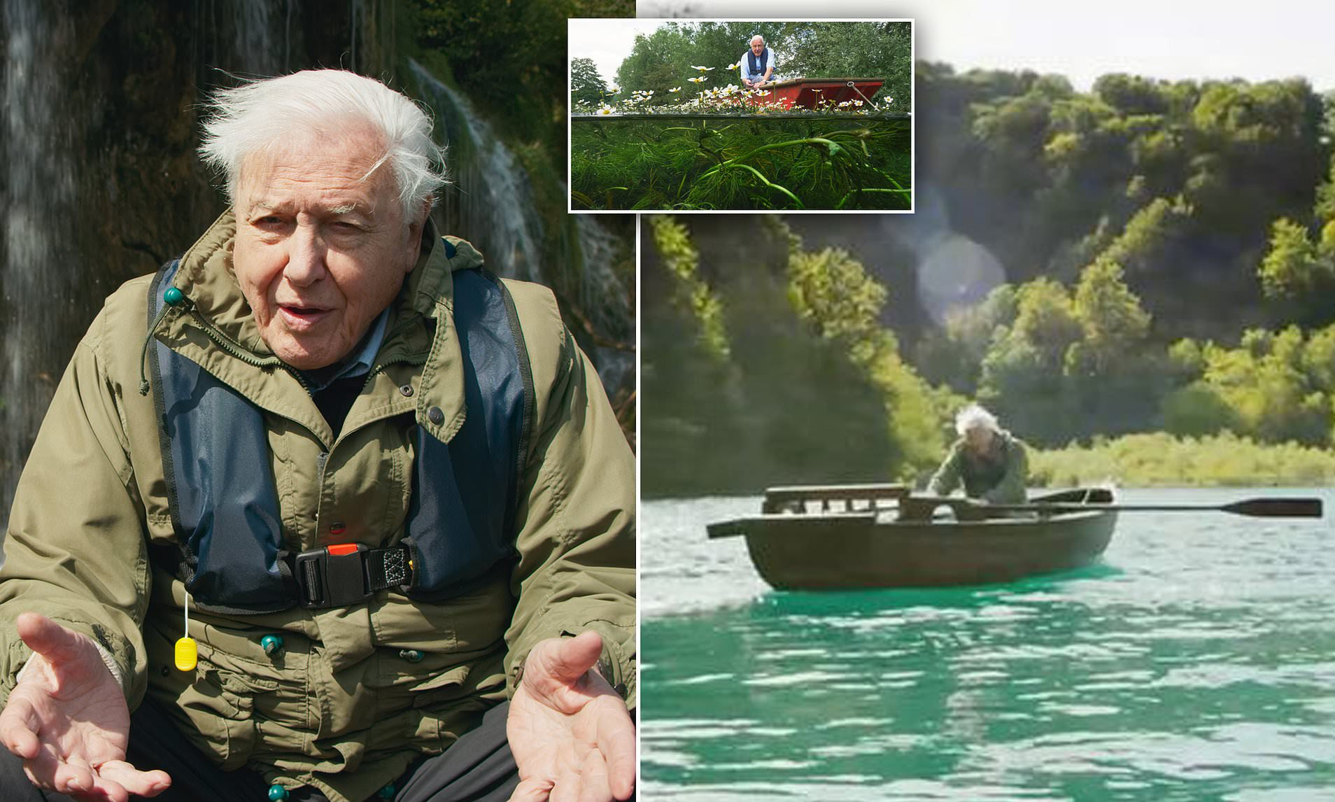 David Attenborough, 95, impressed The Green Planet crew with his rowing skills during filming