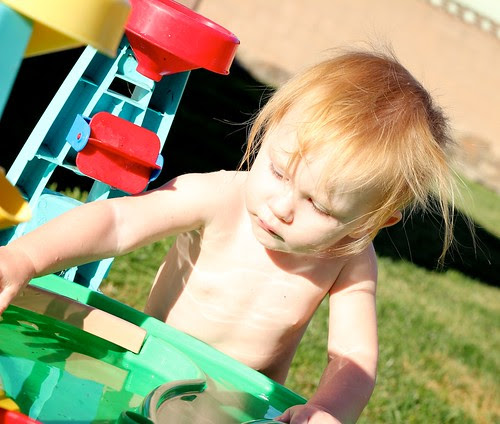 Presley-Water Table Jan 2012 7