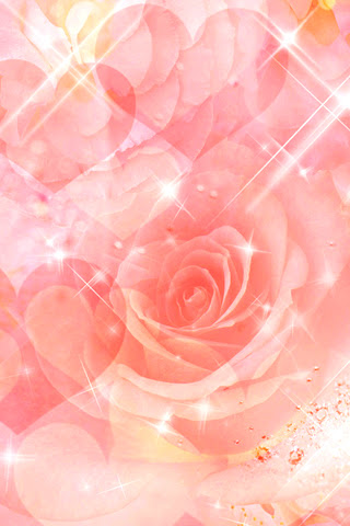これまでで最高のピンク 待受 最高の花の画像