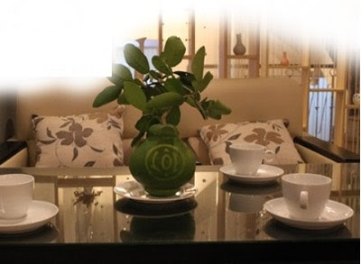 Xem bưởi giá tiền triệu dành cho ngày tết - ảnh 3 Hình ảnh Xem bưởi giá tiền triệu dành cho ngày tết số 3