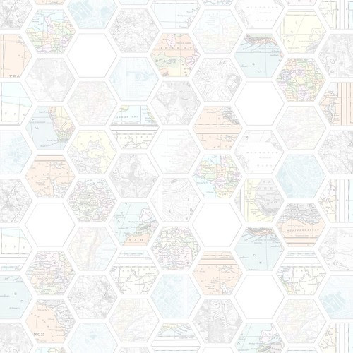Map_hexagon_LIGHT_12_and_a_half_inch_300dpi_melstampz