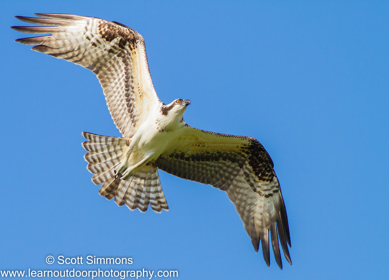 Photo & Video Sharing by SmugMug Photo & Video Sharing by SmugMug
