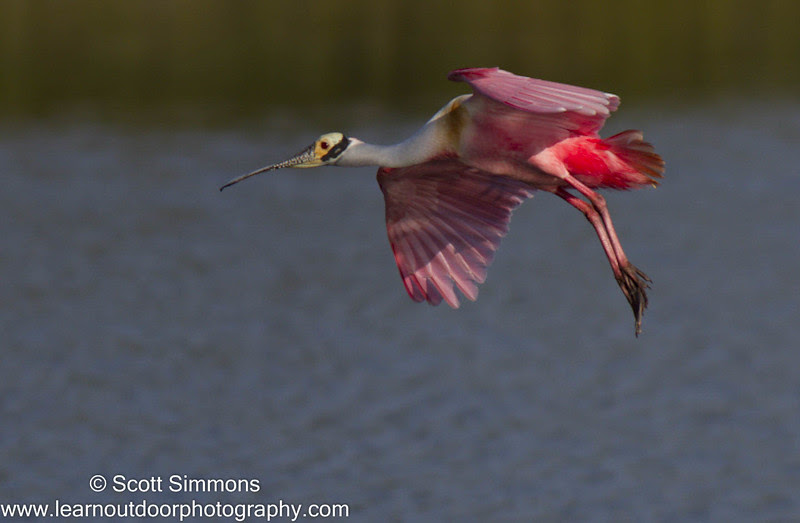 Photo & Video Sharing by SmugMug Photo & Video Sharing by SmugMug