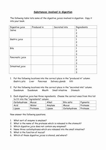 Kinetic Molecular Theory Worksheet Answer Key - worksheet