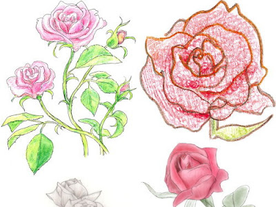 バラ 花束 イラスト 手書き の最高のコレクション 動物ゾーン