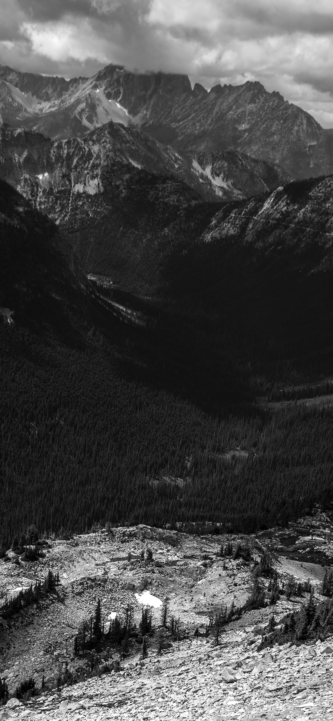 32+ Black And White Nature Iphone Wallpaper - Basty Wallpaper