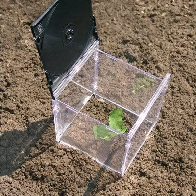 Diy Gadgets A Cd Case Into Garden Cloche