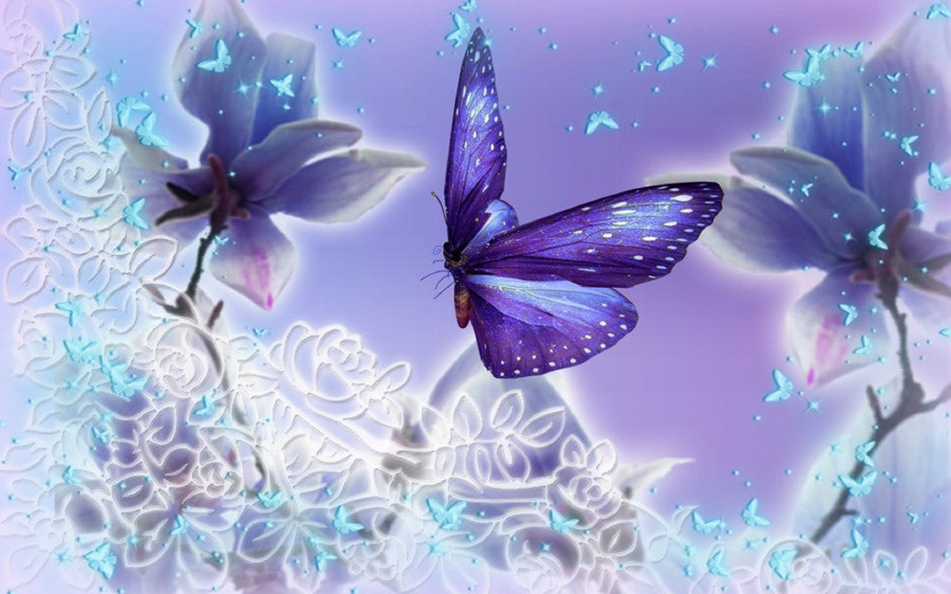 Butterfly Wallpaper for Computer (60+ images)