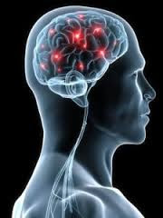 brain hyperactivity
