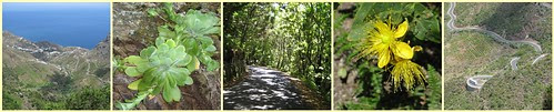 VIAJE A TENERIFE - SIERRA DE LAS MERCEDES