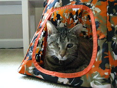 Maggie in her orange tent
