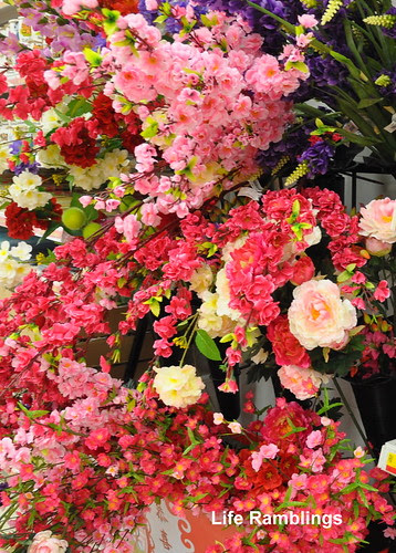 Life Ramblings: Festive Plants for Chinese New Year