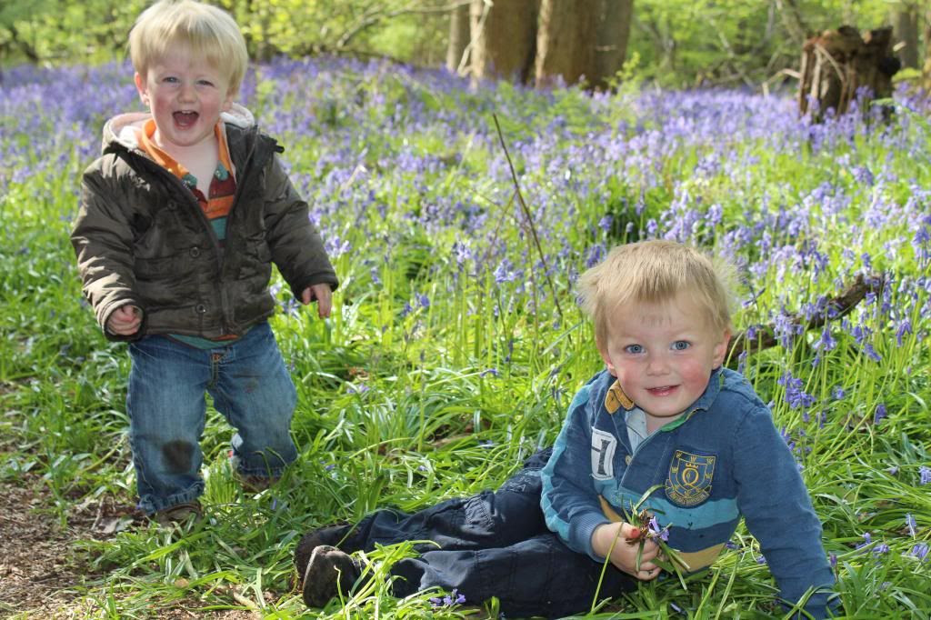 boys in bluebells