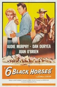 Six Black Horses bilder