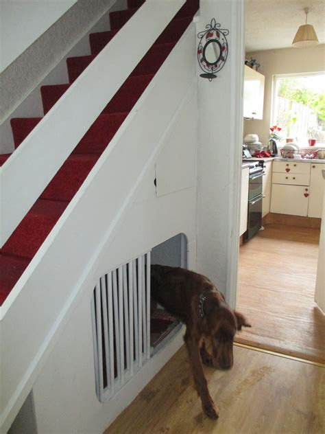 Best 5 Dog Door Under Stairs | Roderick Zanini