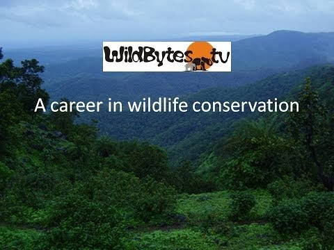 Wildlife Conservation As A Career Choice
