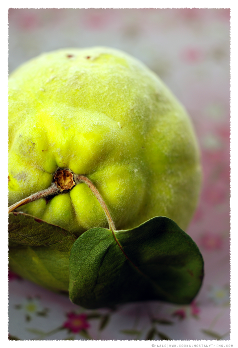 quince© by Haalo