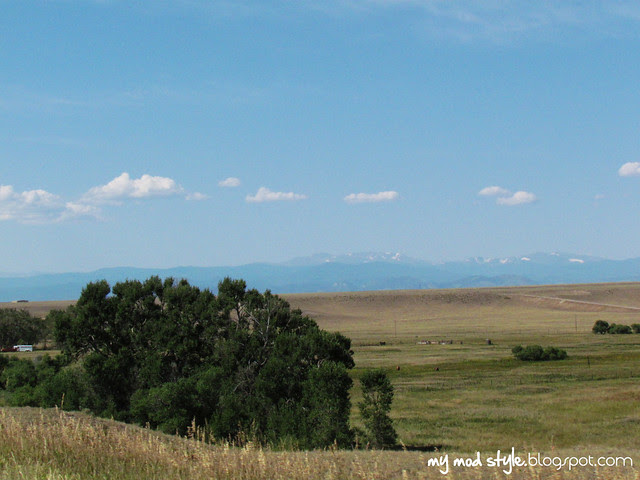 Colorado 1