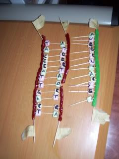 DNA FUN!