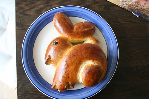 bunny