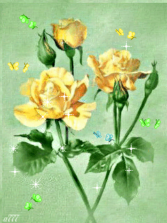 Розы и бабочки
