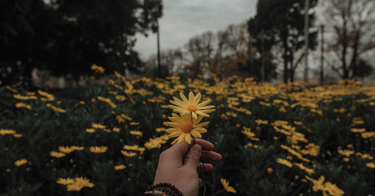 Best Aesthetic Wallpapers For Laptop Background