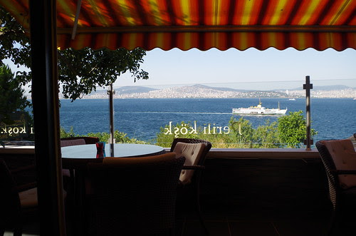 IMGP2431