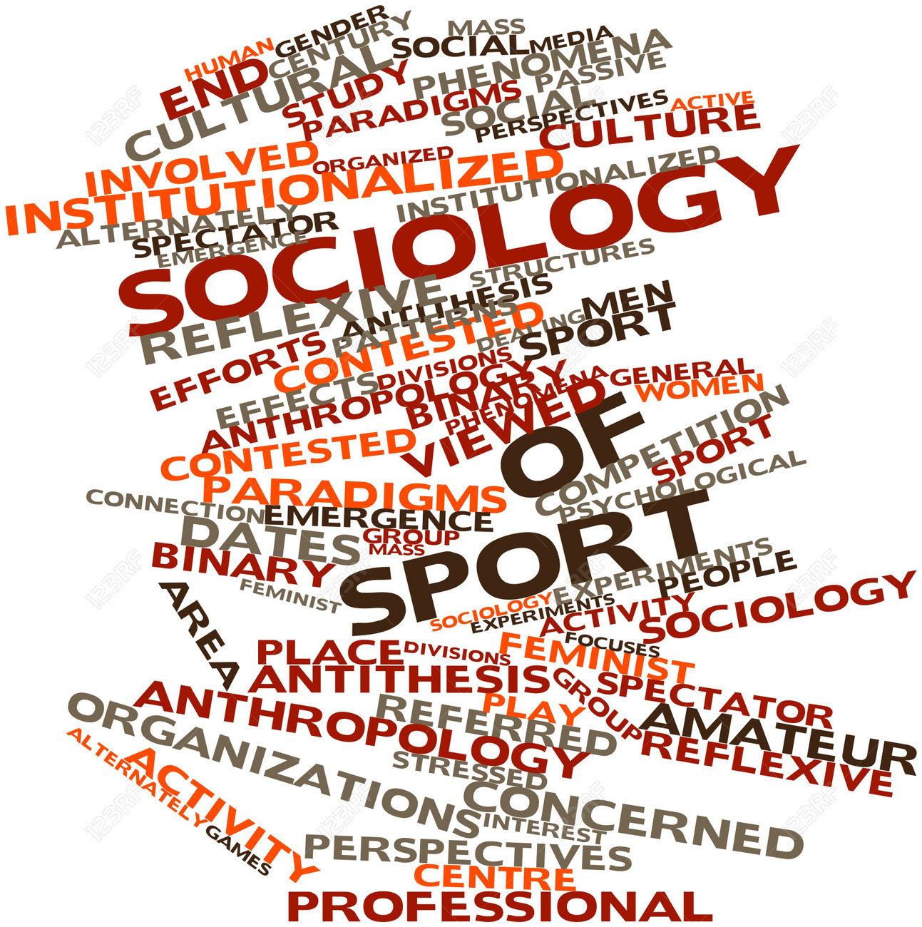 branches-of-physical-education-sports-sociology