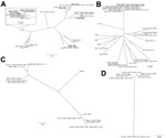 Thumbnail of Distribution of antimicrobial drug resistance genotypes of KPC and NDM-1 Genes in Related Enterobacteriaceae Strains and Plasmids in Pakistan and the United States. Phylogenetic trees have been annotated with the specific β-lactamases encoded by those isolates. Klebsiella pneumoniae carbapenemase carriage is indicated by bold text, and New Delhi metallo-β-Lacatamase-1 carriage is indicated by bold, underlined text. A) Escherichia coli; B) Klebsiella pneumoniae; C) Enterobacter cloac