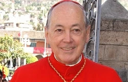 Año de la Fe: Cardenal Cipriani exhorta a sacerdotes a la conversión Año de la Fe: Cardenal Cipriani exhorta a sacerdotes a la conversión