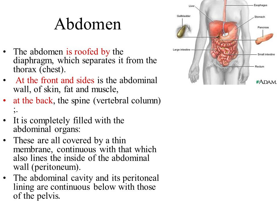 abdominal pain during pregnancy