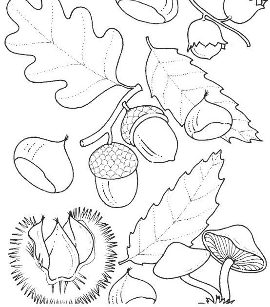 Kreidemarker Vorlagen Zum Ausdrucken Herbst : Pin von Connie Dilloway