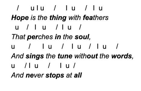 Metrical Foot In Poetry