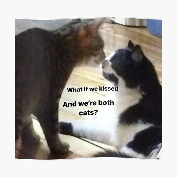 the-best-28-what-if-we-kissed-meme-cat-ronatop