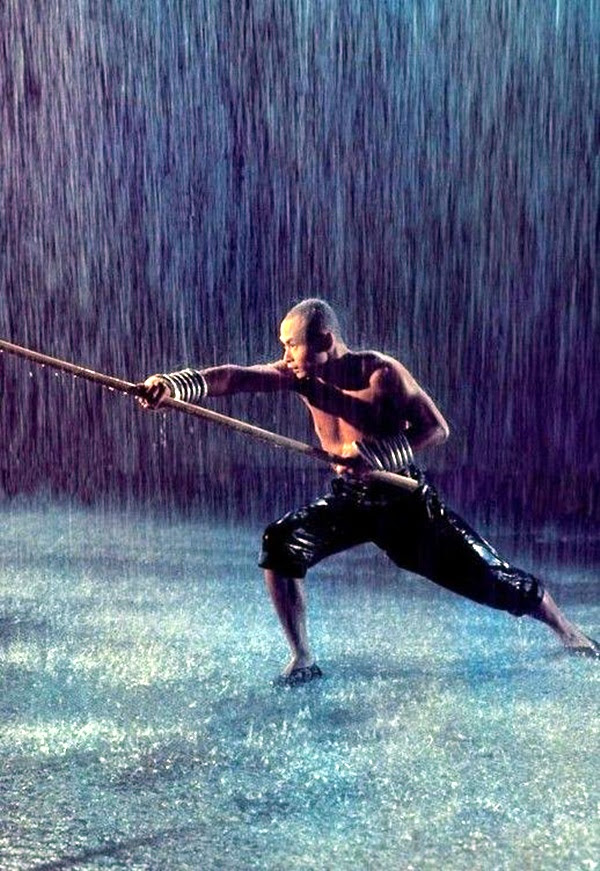 Shaolin monk Martial Art Demonstrations (7)