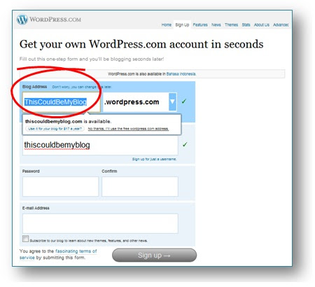 Cara Membuat Blog WordPress Gratis: Memberi nama blog wordpress