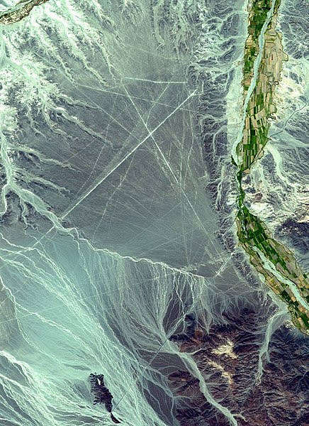 Archivo:NEO nazca lines big.jpg