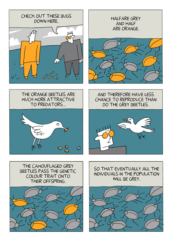 evolution 11