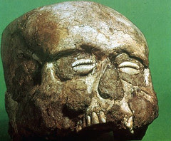 Jerichoskullshell