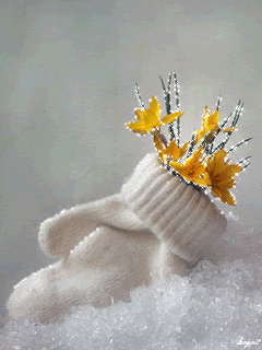 Цветочки в перчатке на снегу