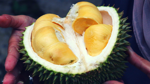 Durian Yang Paling Mahal - Sere Fruit