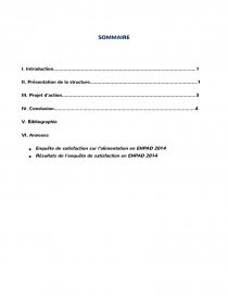 Exemple De Rapport De Stage Bts Sp3s 1ere Année - Exemple 