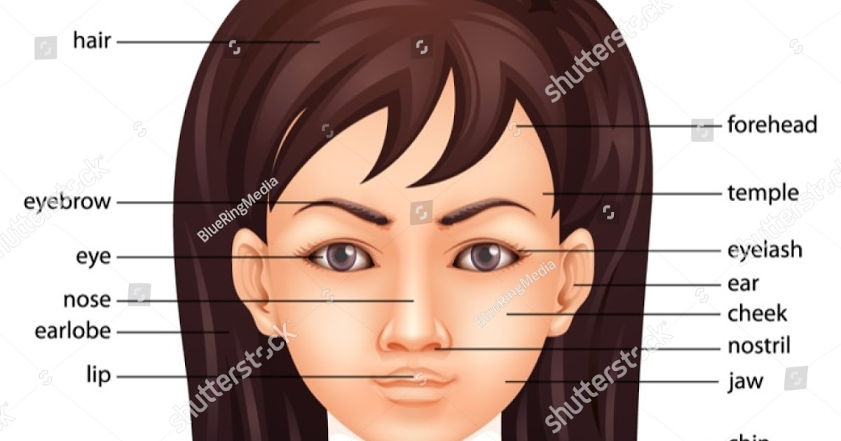 Human Face Parts / Close Up Of Parts Of A Human Face Stock Photo