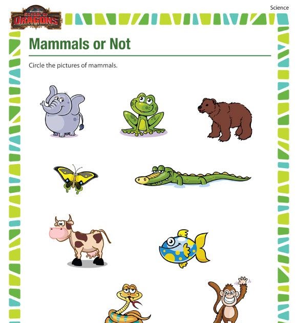 Mammals Worksheet Kindergarten - Math Worksheets Free