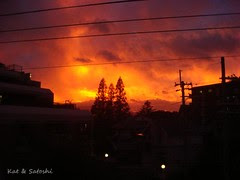 DSC02079