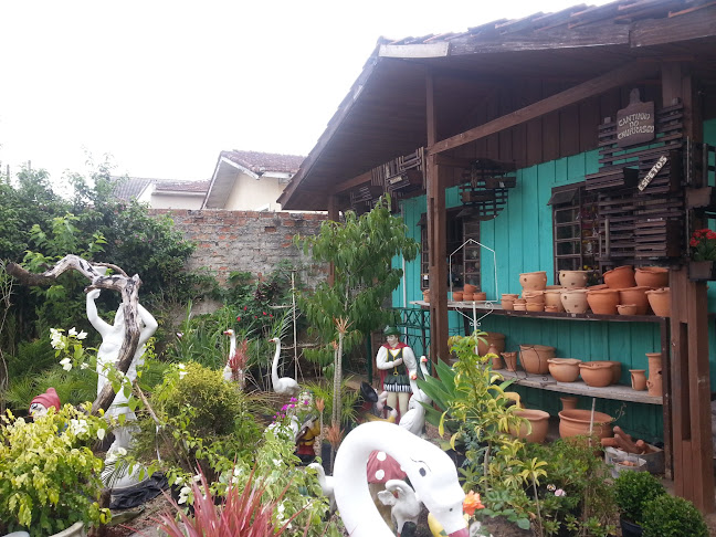 Floricultura São Jorge - Floricultura