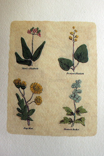 Menu illustration