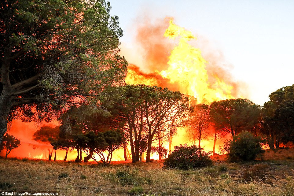 A raging fire is sweeping through woodland in the hills of Gigaro in La Croix-Valmer near Saint Tropez